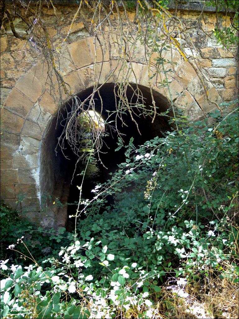 Foto de Somaen (Soria), España