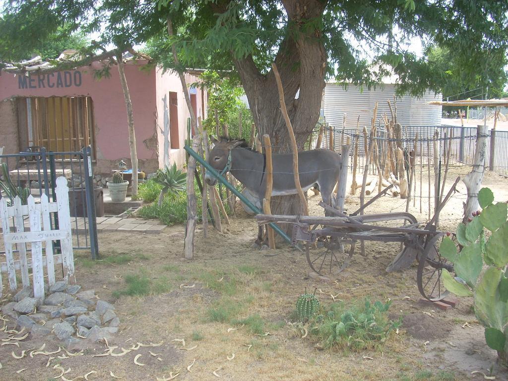 Foto de Gasden (Arizona), Estados Unidos