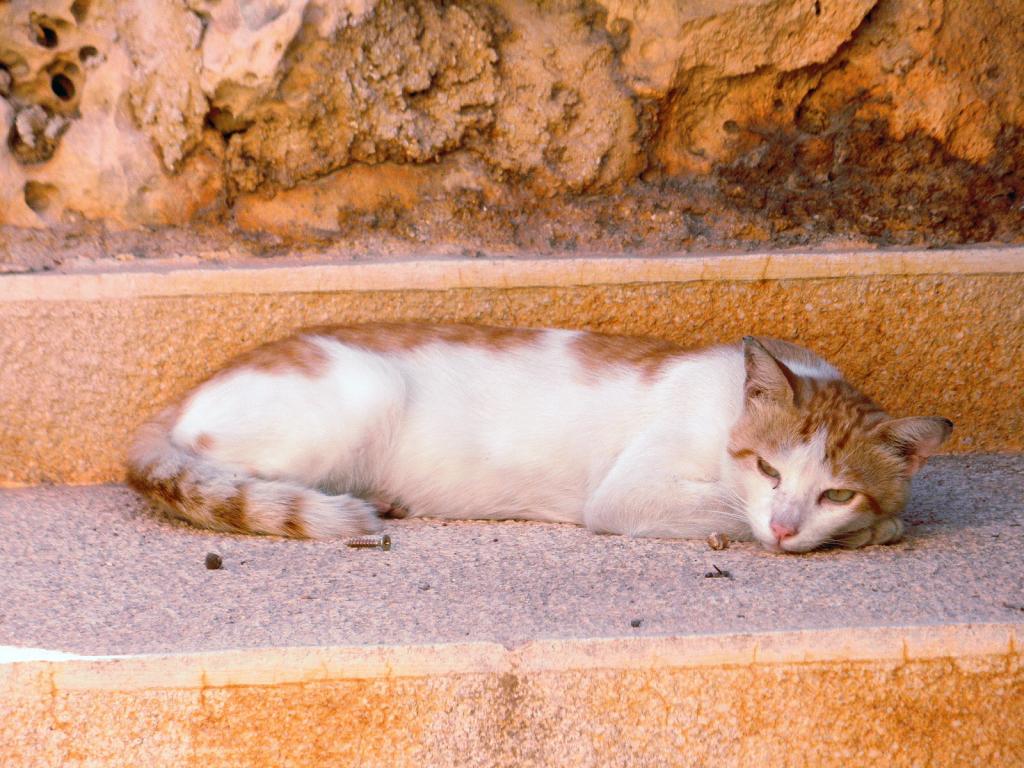 Foto de La Valetta, Malta