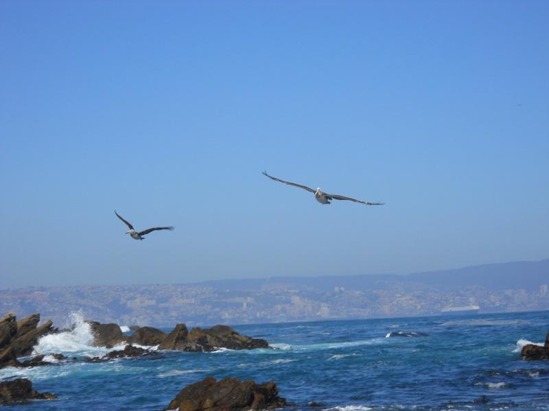 Foto de Viña del mar, Chile