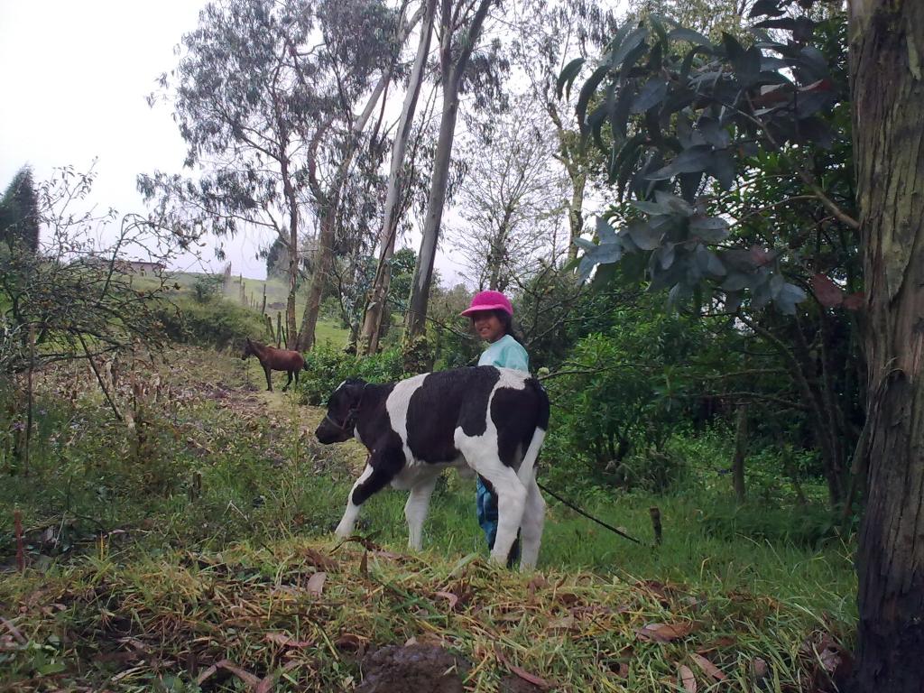 Foto de Bayushig, Ecuador