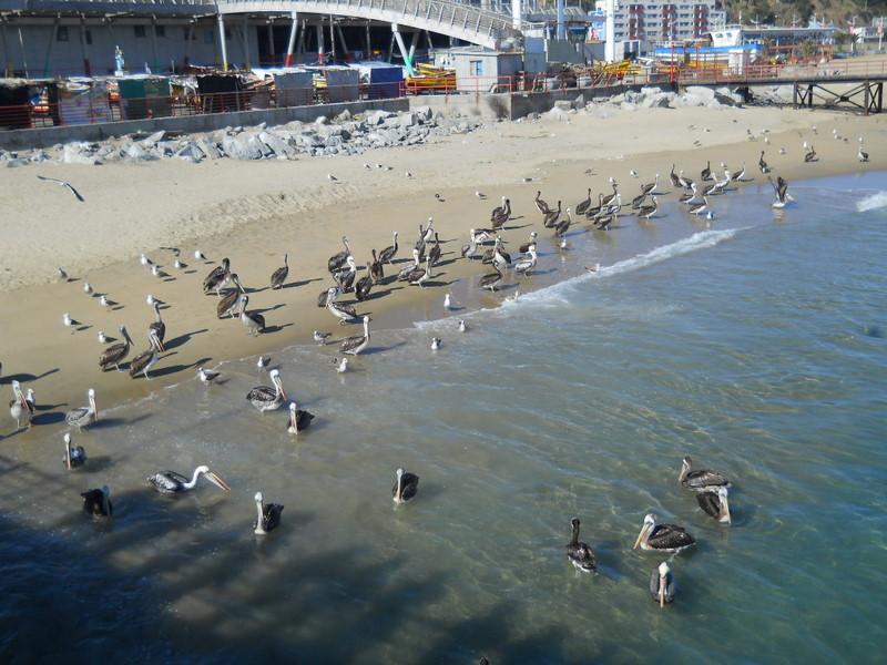 Foto de Valparaiso, Chile