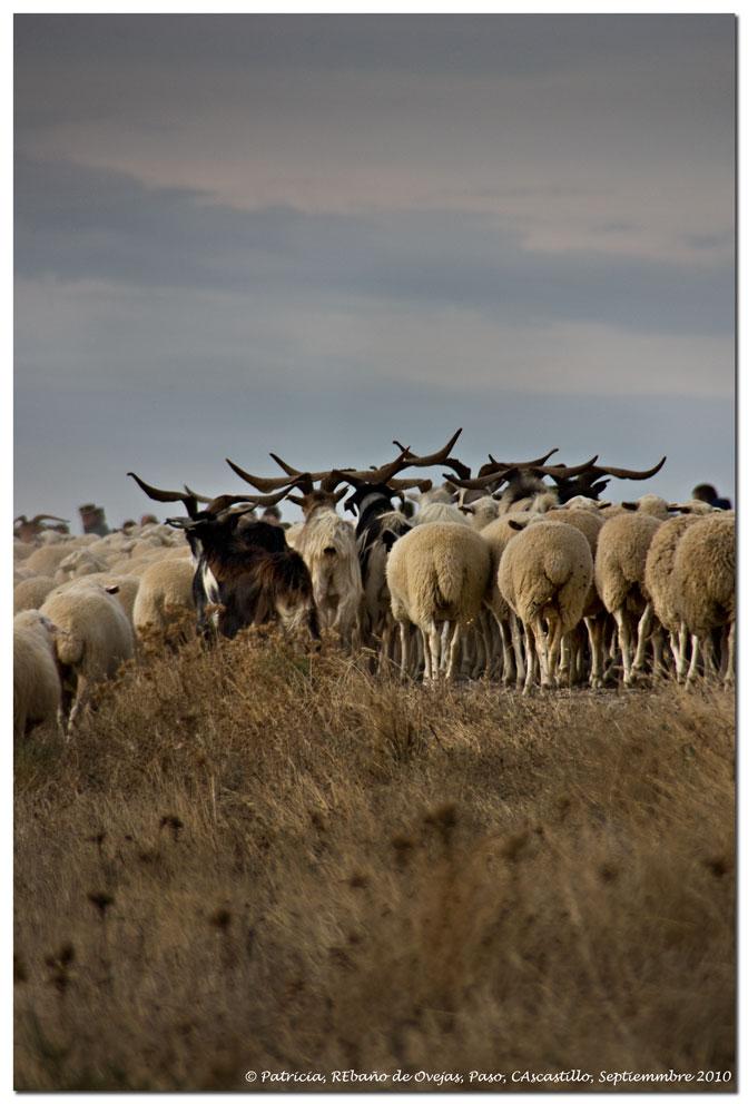 Foto de Carcastillo (Navarra), España