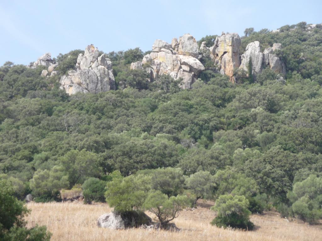 Foto de Puerto Galis (Cádiz), España