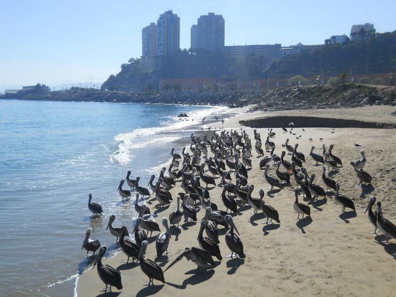 Foto de Valparaiso, Chile