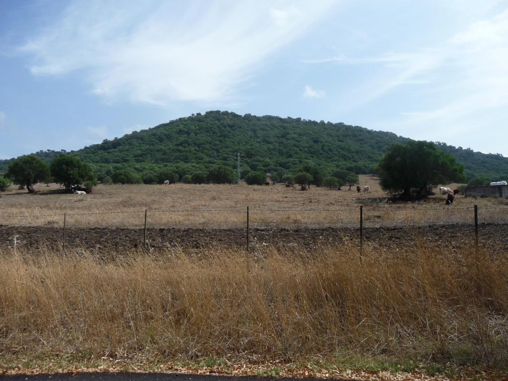 Foto de Puerto Galis (Cádiz), España