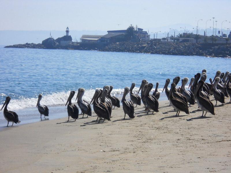 Foto de Valparaiso, Chile