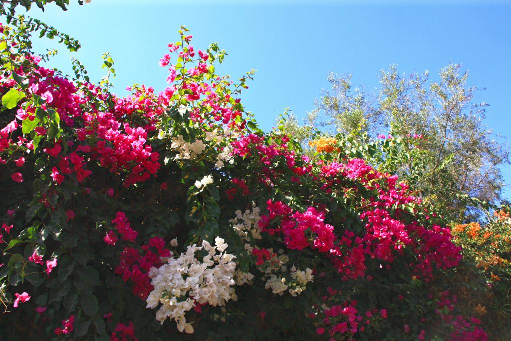 Foto de Naxxar, Malta