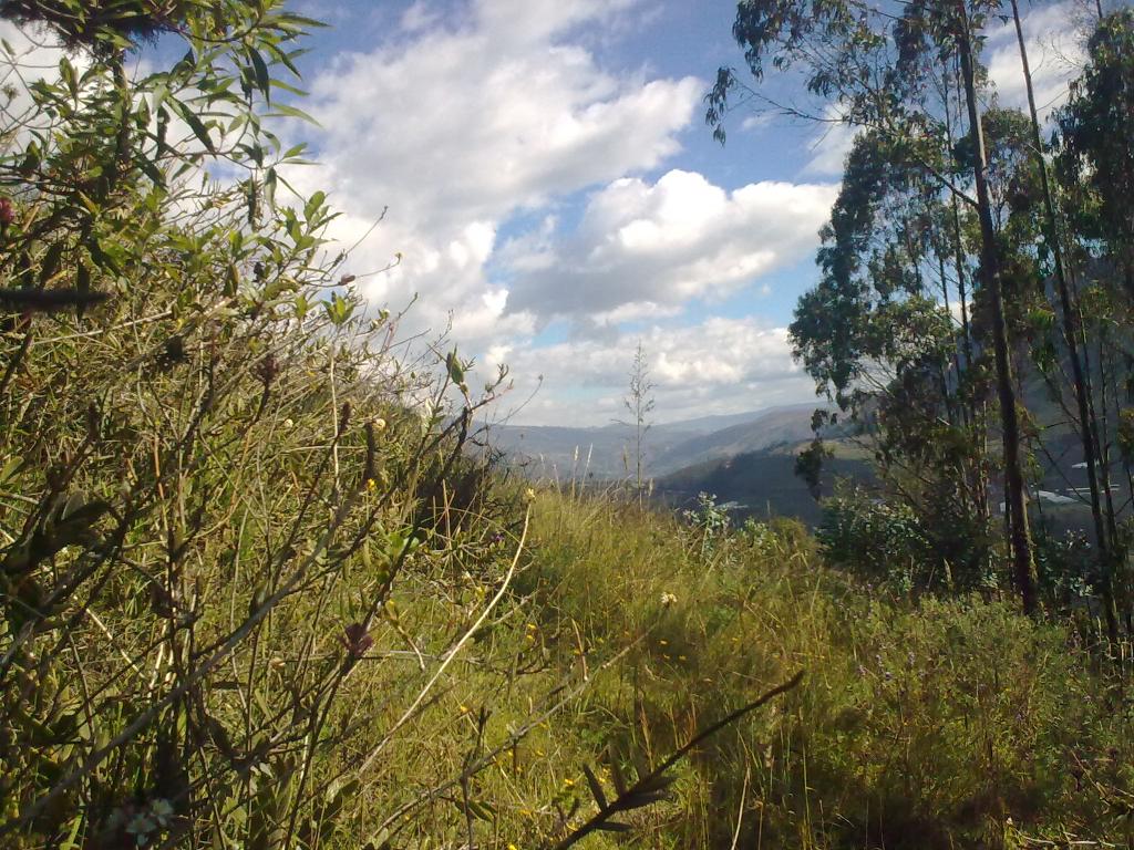 Foto de Bayushig, Ecuador