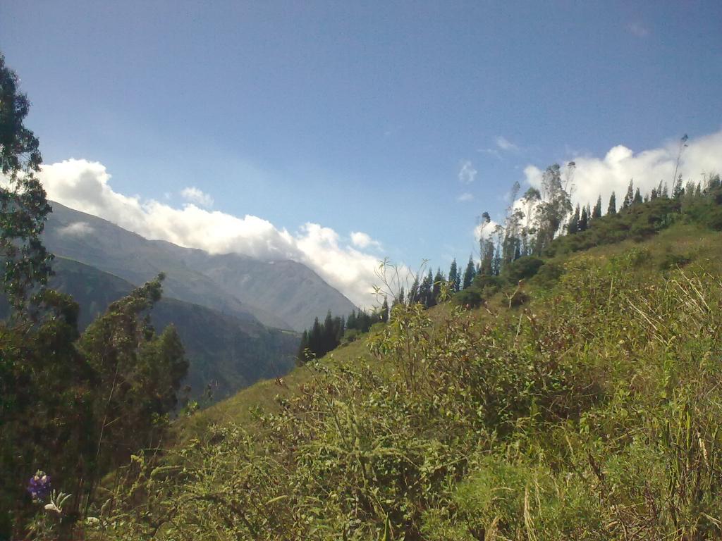 Foto de Bayushig, Ecuador