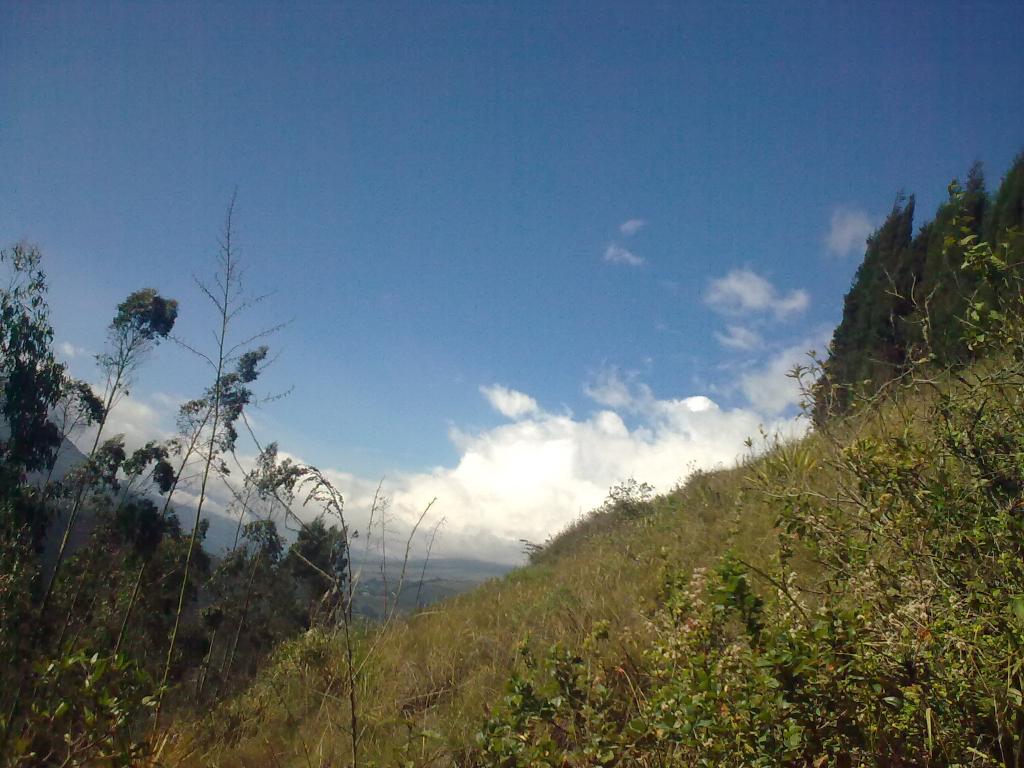 Foto de Bayushig, Ecuador