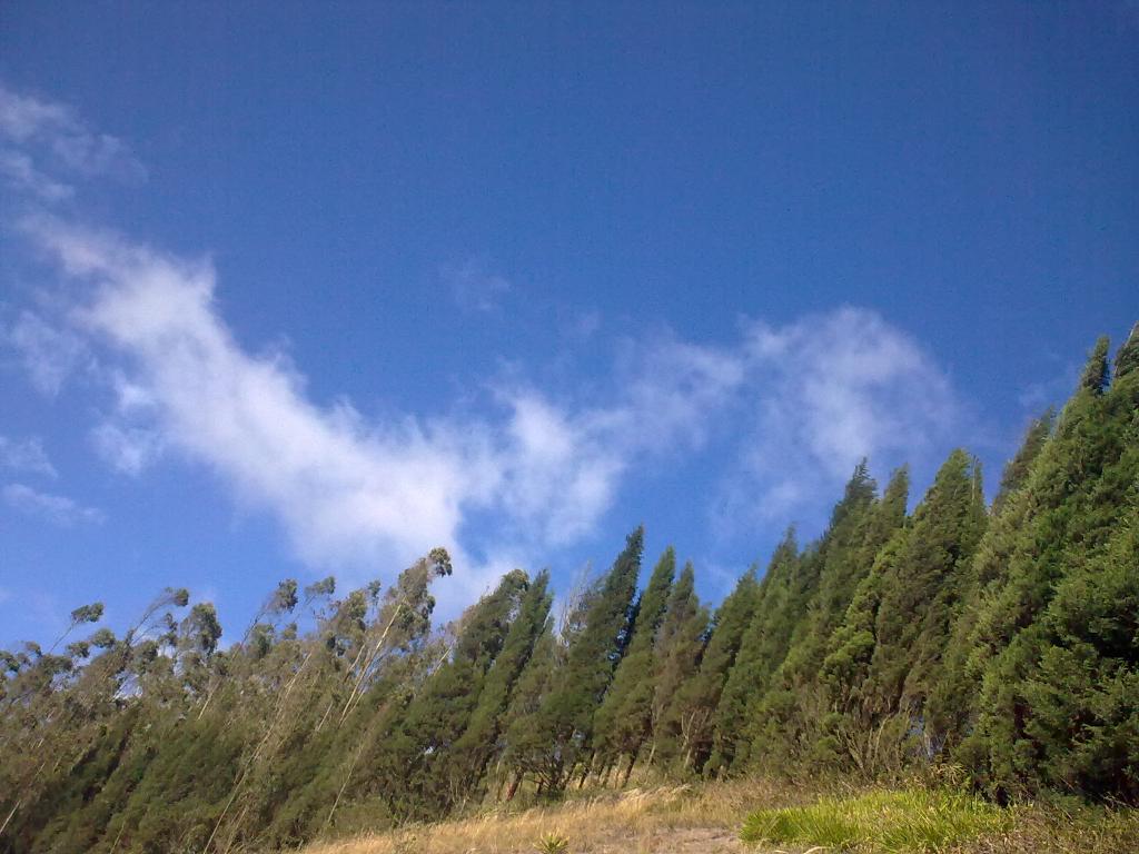 Foto de Bayushig, Ecuador