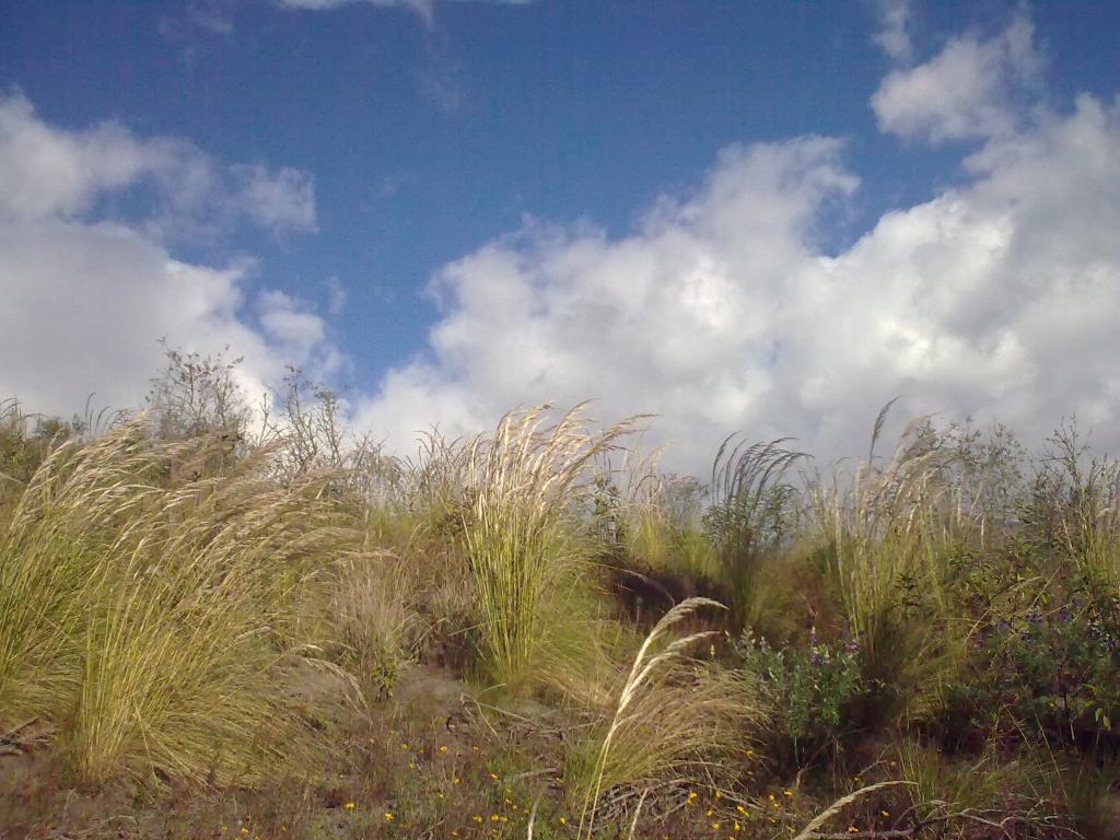 Foto de Bayushig, Ecuador