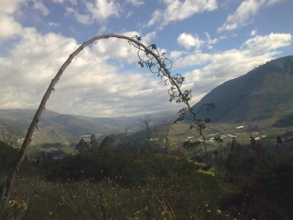 Foto de Bayushig, Ecuador