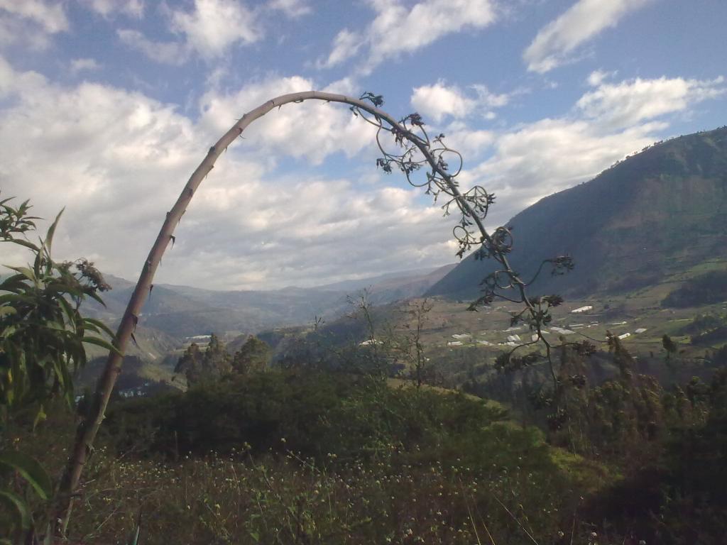 Foto de Bayushig, Ecuador