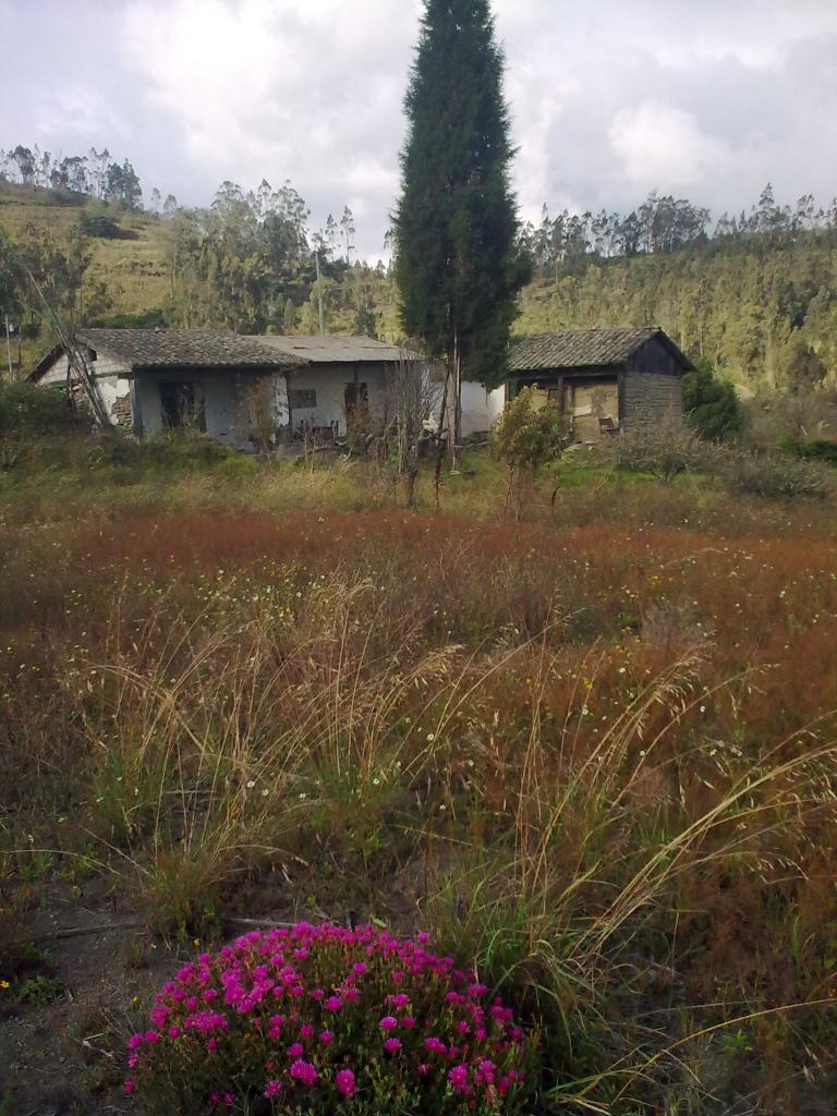 Foto de Bayushig, Ecuador