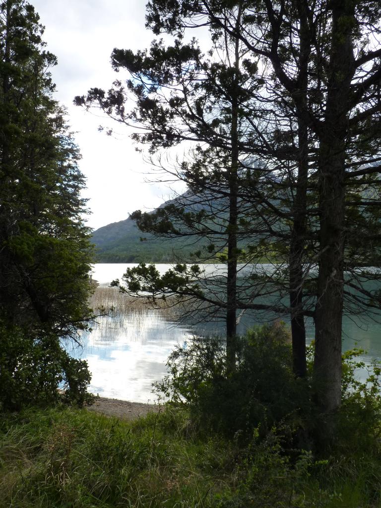 Foto de Epuyén (Chubut), Argentina