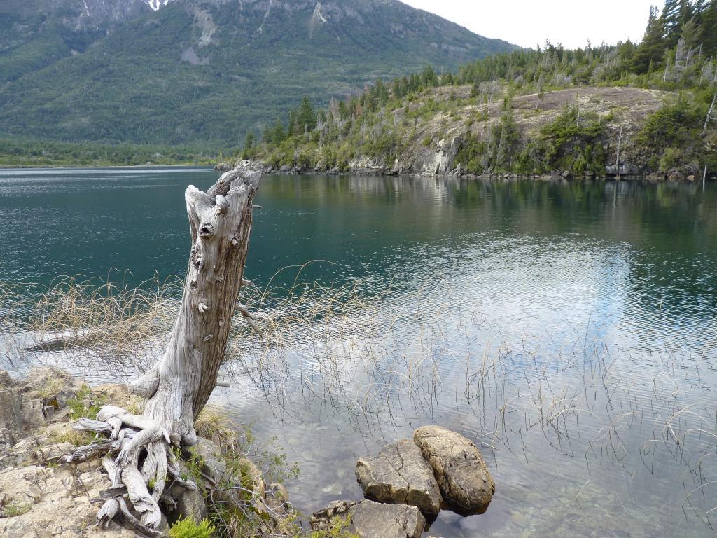 Foto de Epuyén (Chubut), Argentina