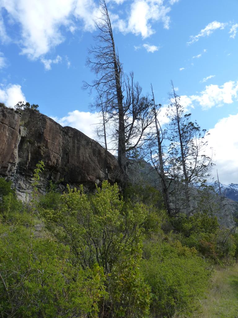 Foto de Epuyén (Chubut), Argentina