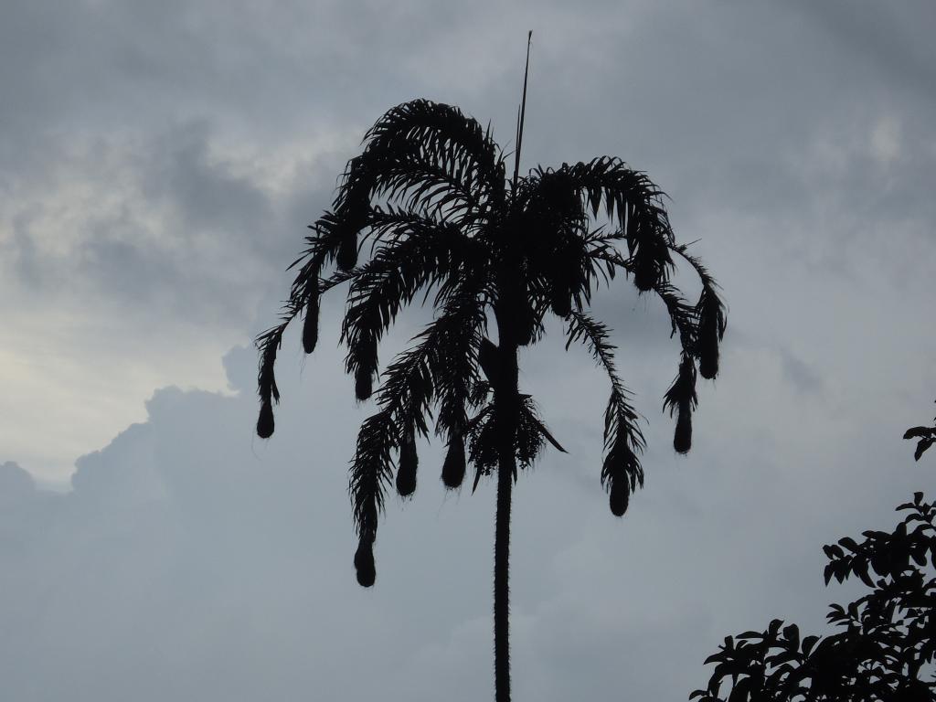 Foto de Shell, Ecuador