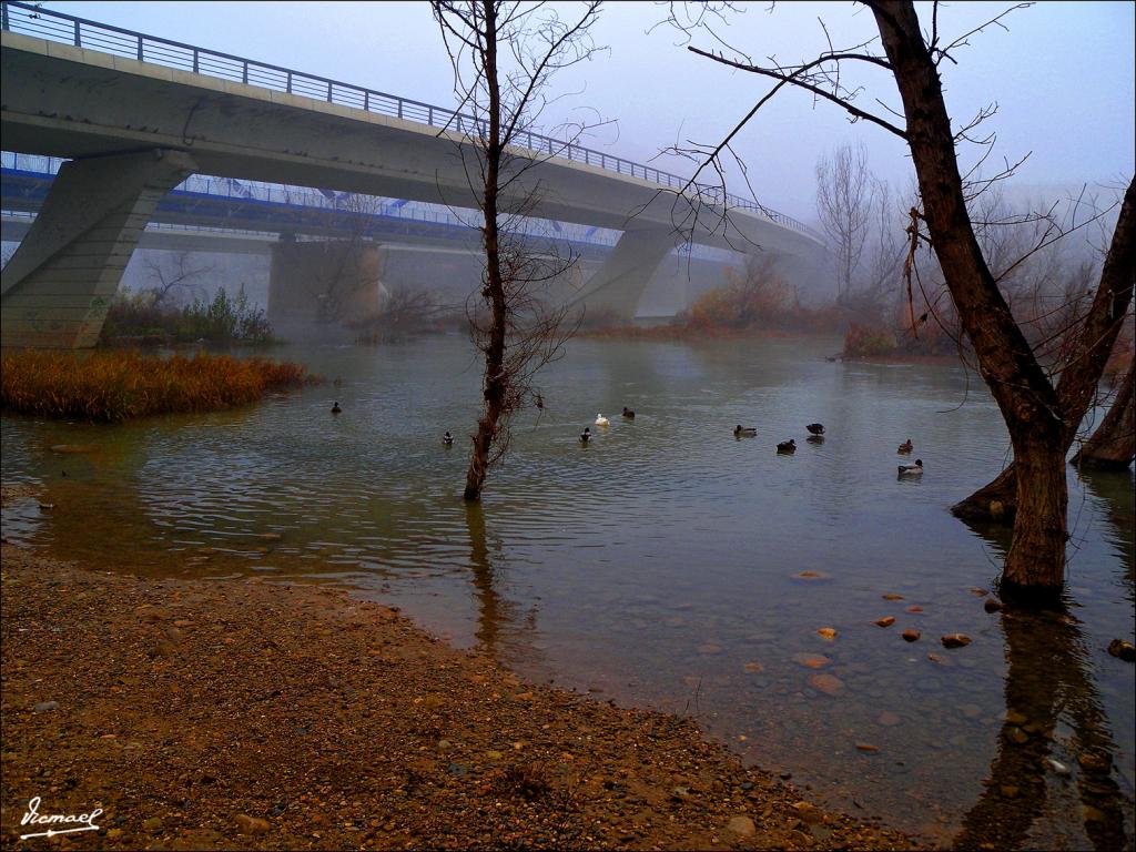 Foto de Zaragoza (Aragón), España