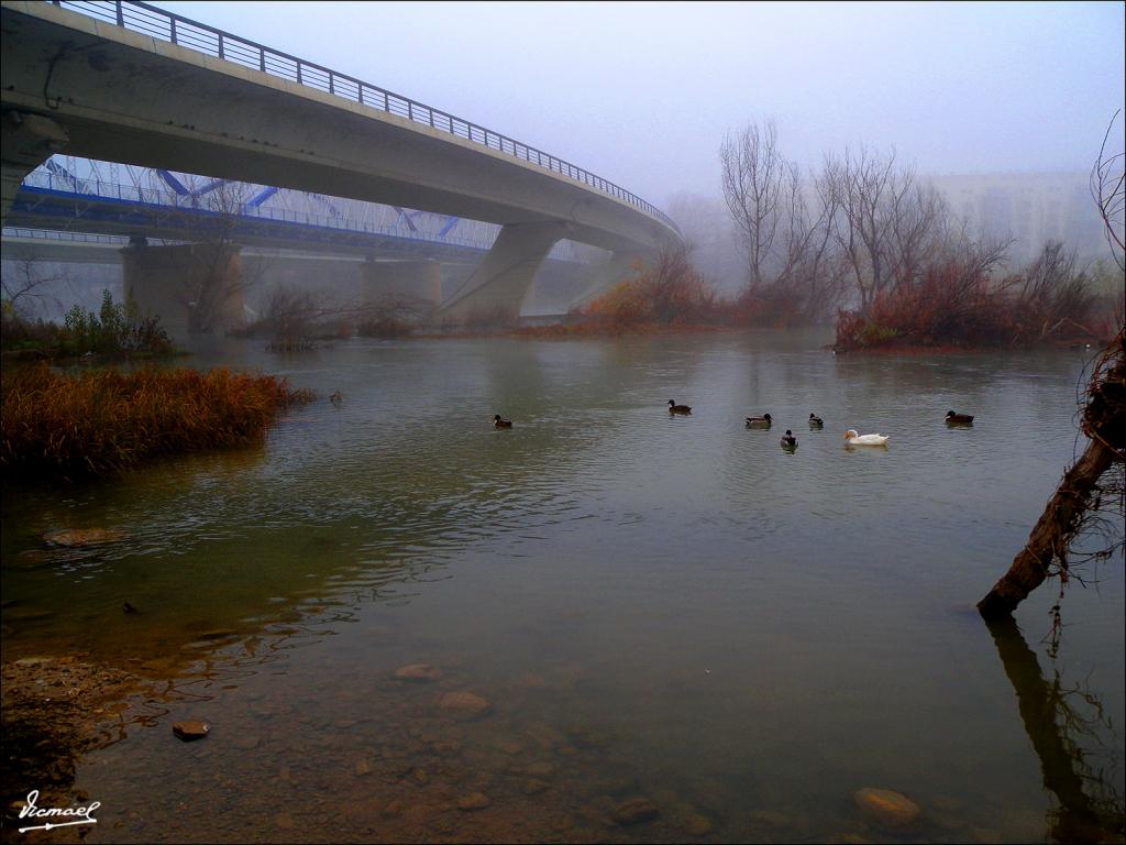 Foto de Zaragoza (Aragón), España