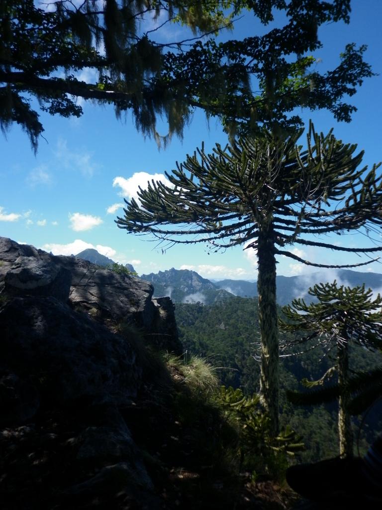 Foto de Huerquehue, Chile