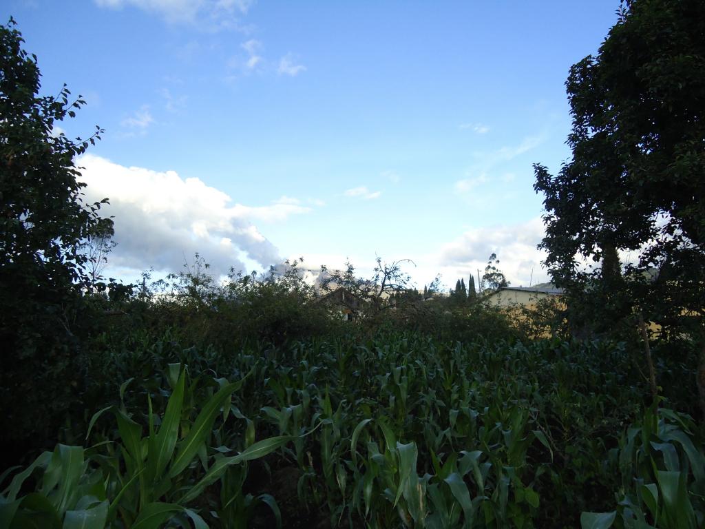 Foto de Bayushig, Ecuador