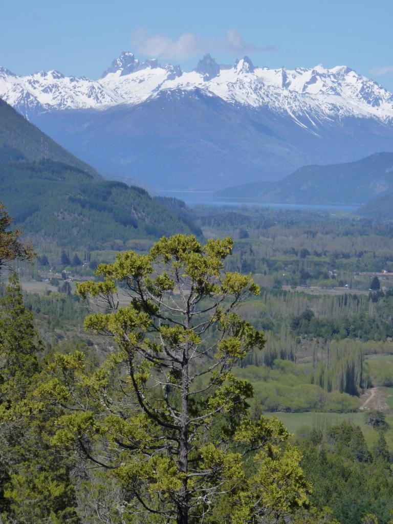 Foto de El Bolsón (Río Negro), Argentina