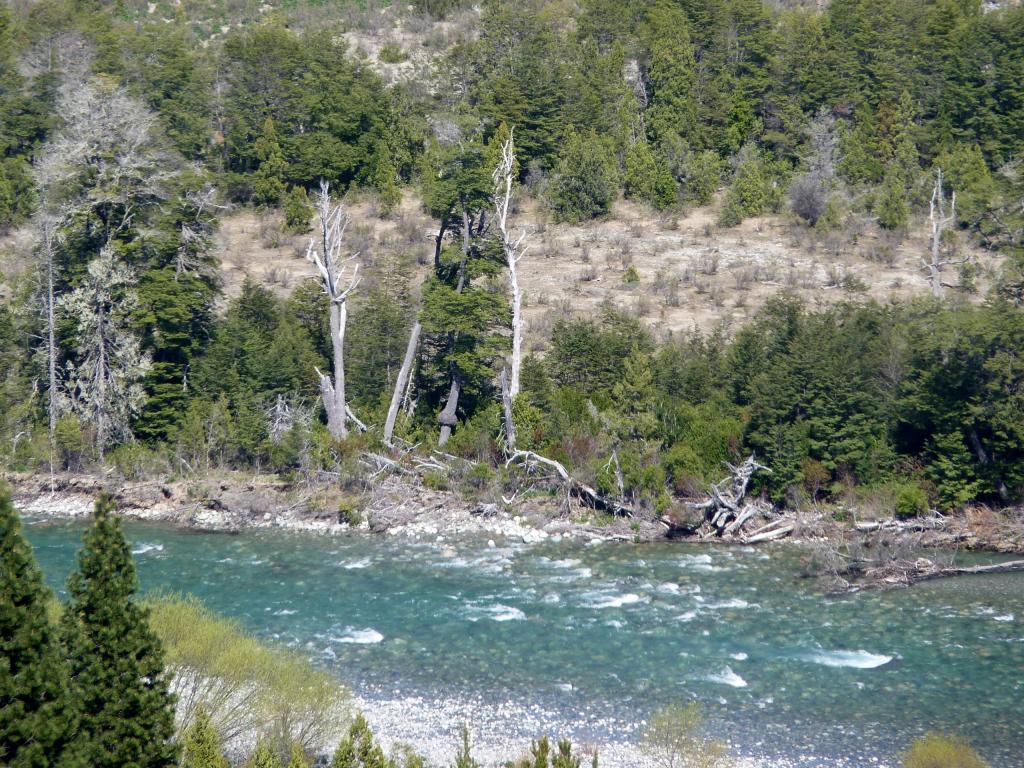 Foto de El Bolsón (Río Negro), Argentina