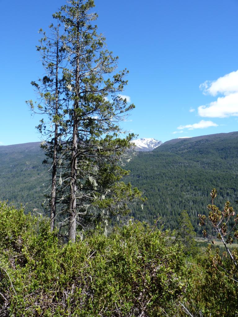 Foto de El Bolsón (Río Negro), Argentina