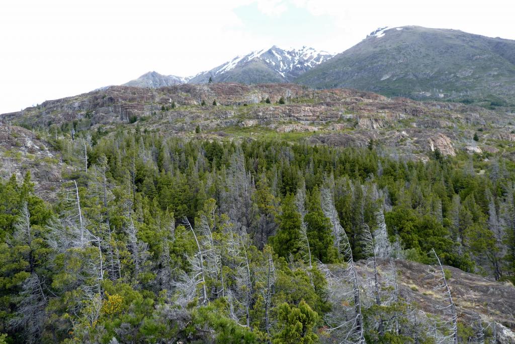 Foto de Epuyén (Chubut), Argentina