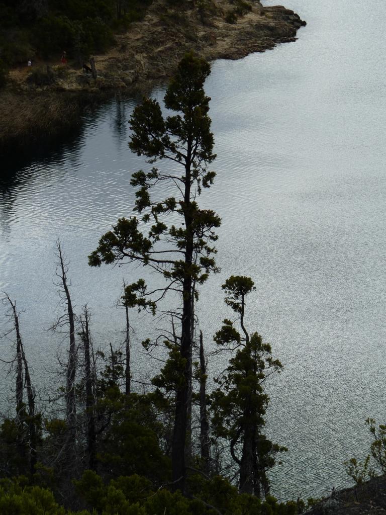 Foto de Epuyén (Chubut), Argentina