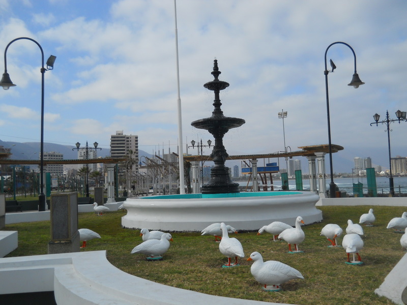 Foto: Iquique 2011 - Iquique (Tarapacá), Chile