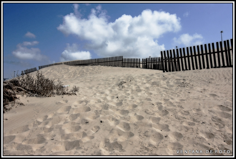 Foto: DUNAS PLAYA DE CORTADURA - Cádiz (Andalucía), España