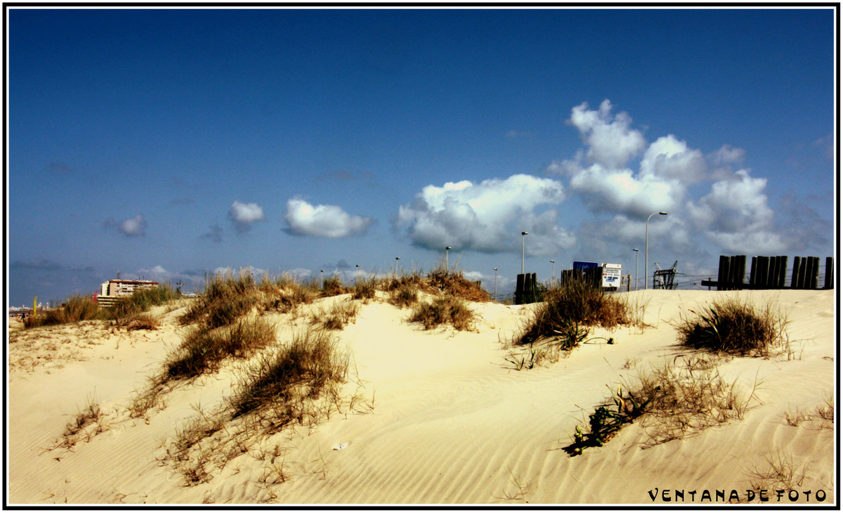 Foto: DUNAS PLAYA DE CORTADURA - Cádiz (Andalucía), España