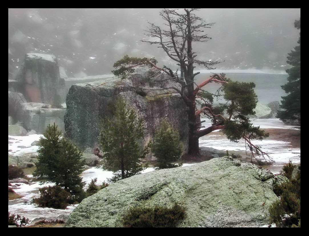 Foto de La Laguna Negra (Soria), España