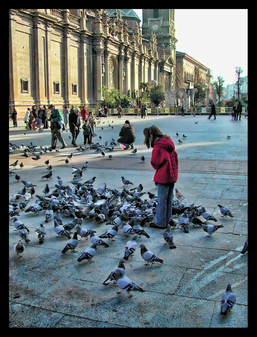 Foto: Plaza del Pilar - Zaragoza (Aragón), España