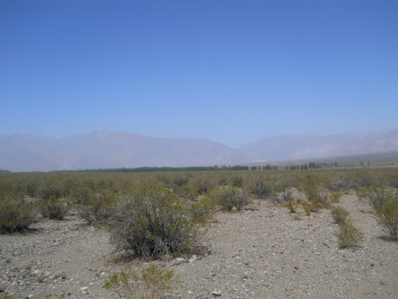 Foto: Cerro Tunduqueral - Uspallata (Mendoza), Argentina