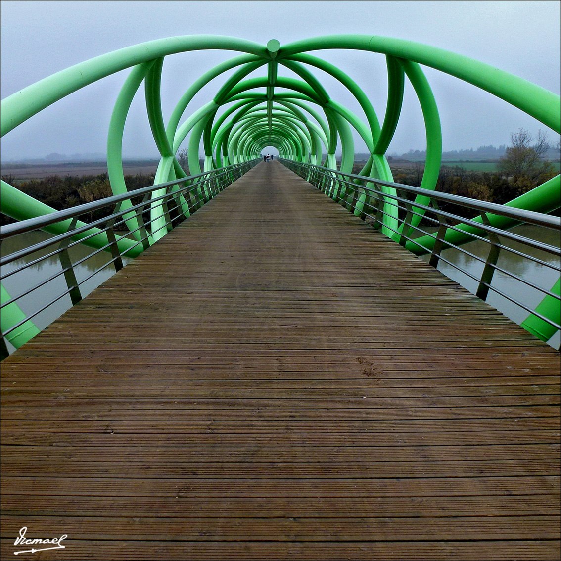 Foto: 111127-04 PUENTE LA CARTUJA - Zaragoza (Aragón), España