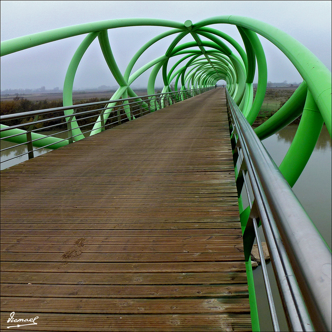 Foto: 111127-05 PUENTE LA CARTUJA - Zaragoza (Aragón), España