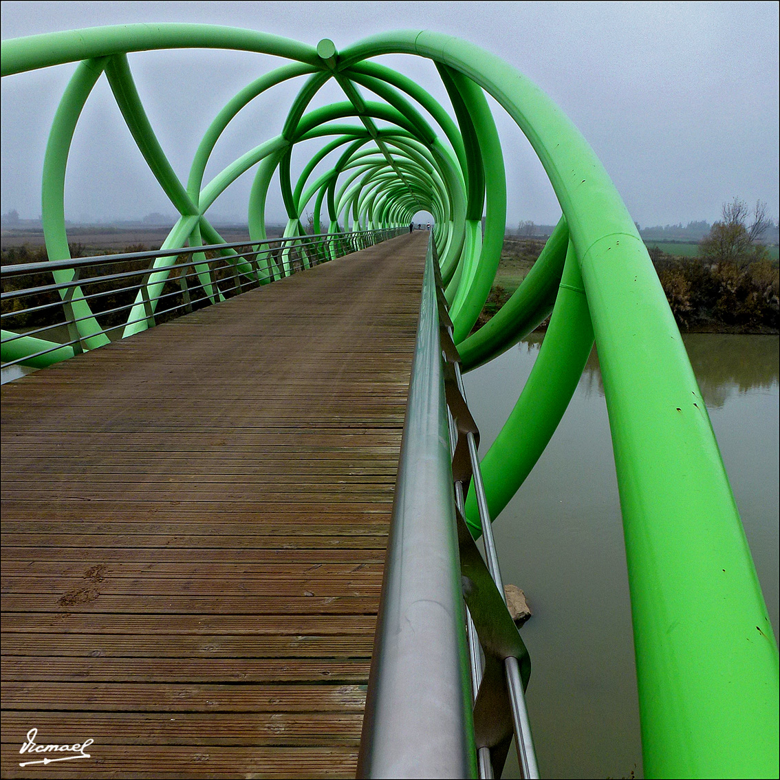 Foto: 111127-06 PUENTE LA CARTUJA - Zaragoza (Aragón), España