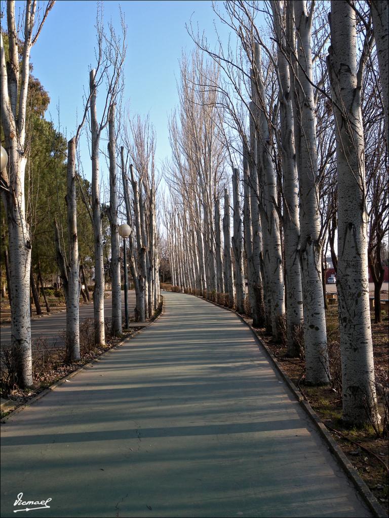 Foto de Zaragoza (Aragón), España