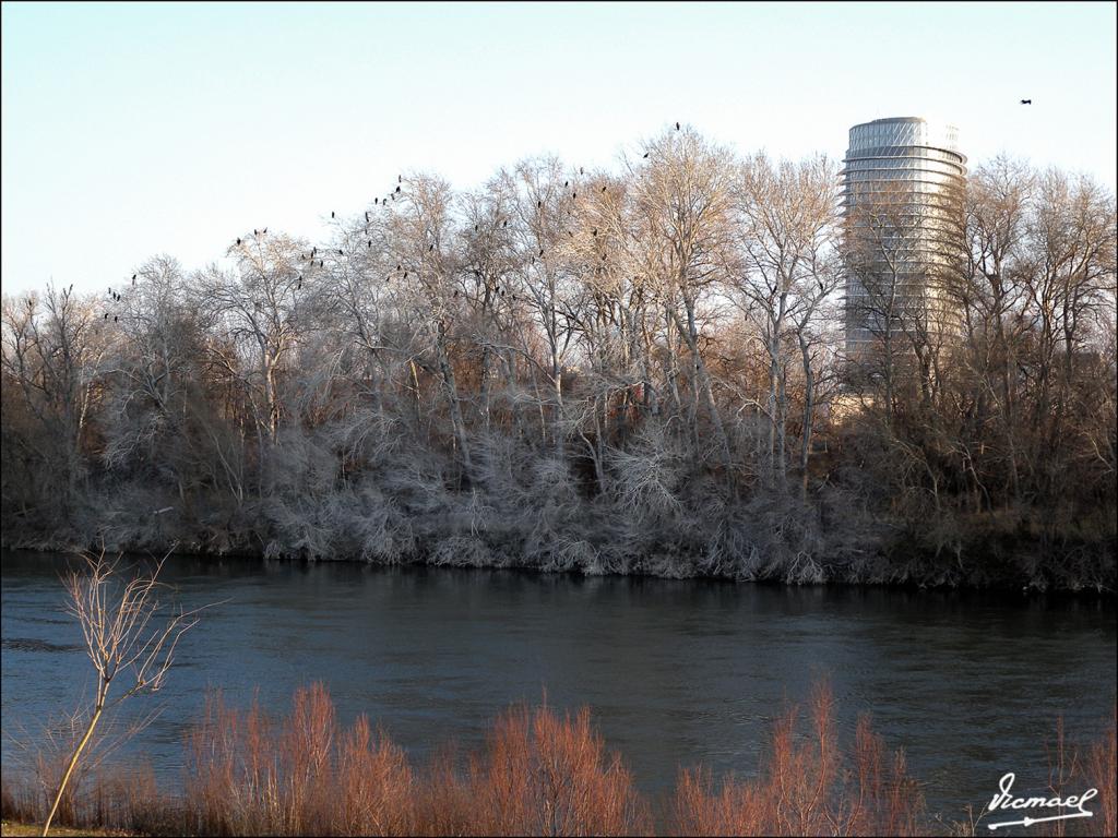 Foto de Zaragoza (Aragón), España