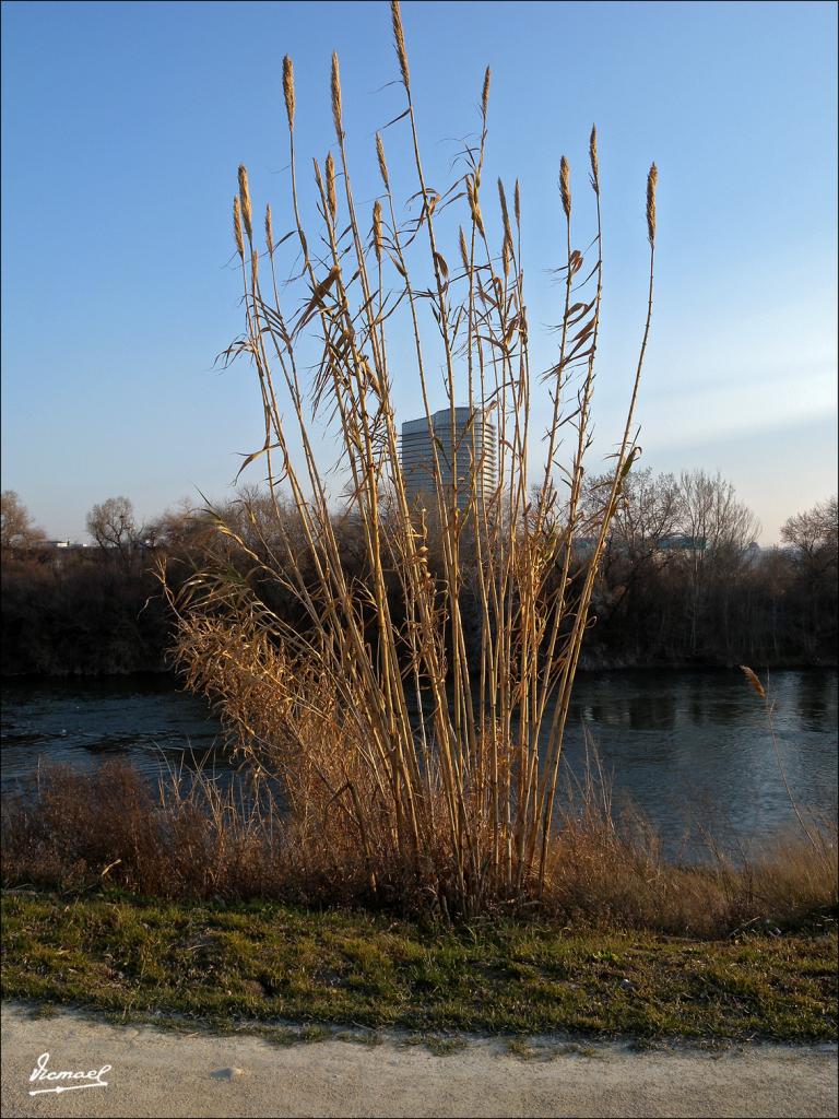 Foto de Zaragoza (Aragón), España