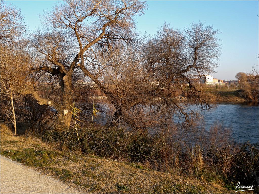 Foto de Zaragoza (Aragón), España