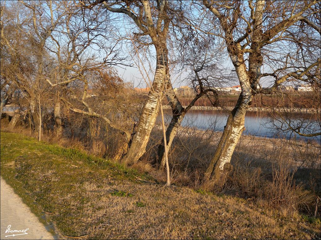 Foto de Zaragoza (Aragón), España