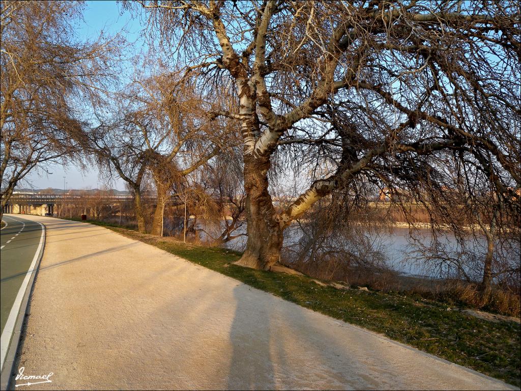 Foto de Zaragoza (Aragón), España