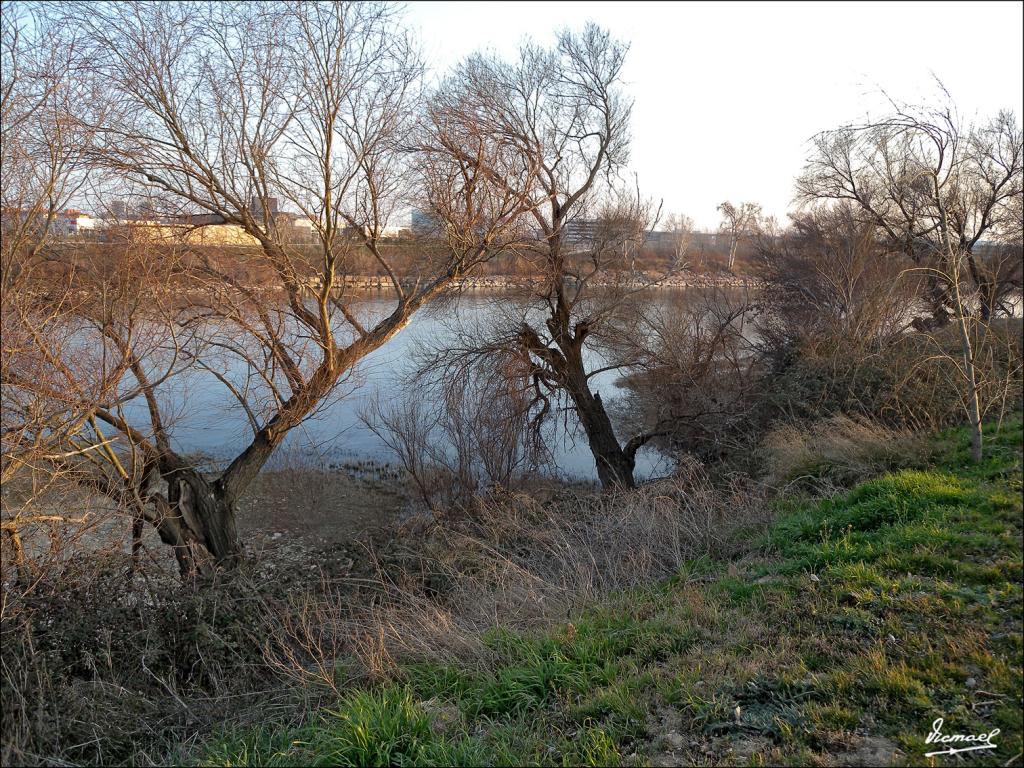 Foto de Zaragoza (Aragón), España