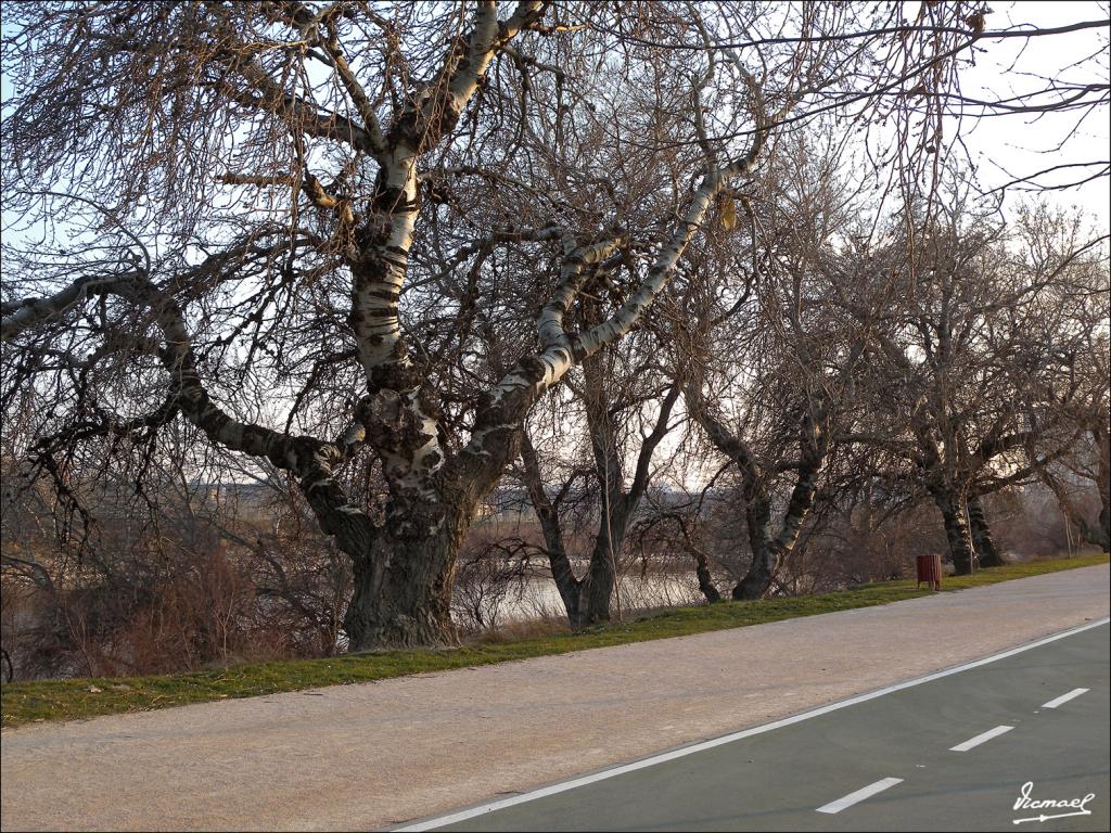 Foto de Zaragoza (Aragón), España